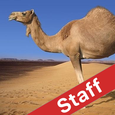 @CS51-Staff